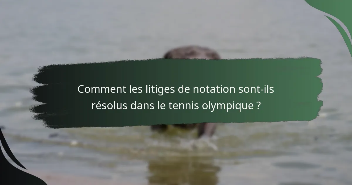 Comment les litiges de notation sont-ils résolus dans le tennis olympique ?