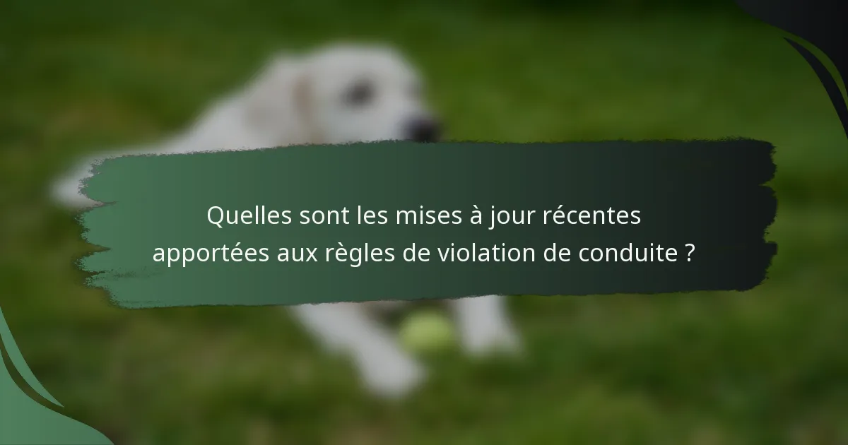 Quelles sont les mises à jour récentes apportées aux règles de violation de conduite ?